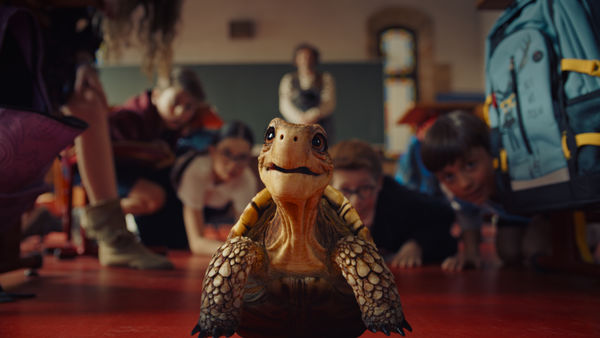 xDIE_SCHULE_DER_MAGISCHEN_TIERE-S